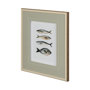 12291 - Four Fish I by Emma Scarvey a Hand Embellished Textured Framed Art Print Matted under Glass