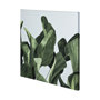101102-L - Celadon Palms II-4444 by Emma Scarvey a Hand Embellished Textured Canvas