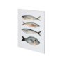 101083-S - Four Fish I by Emma Scarvey a Hand Embellished Textured Canvas