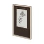 12344 - Conversations on Botany VI by Mercana Studio Hand Embellished Framed Art Print Matted under Glass