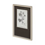 12345 - Conversations on Botany VII by Mercana Studio Hand Embellished Framed Art Print Matted under Glass
