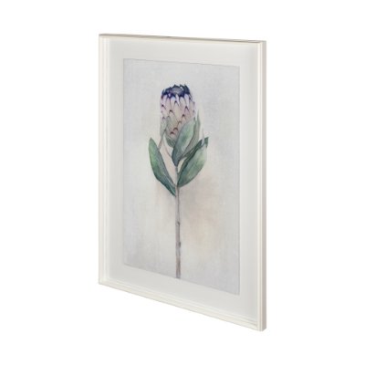 12401 - Sugarbush II by Panpan Zhang a Framed Art Print Matted under Glass