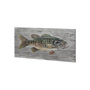 101133-S - Clear Water Beauty by Mercana Studio a Hand Embellished Textured Canvas