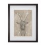 14477 - Sketch of Animal V (Goat) by Mercana Studio Hand Embellished Framed Art Print Matted under Glass