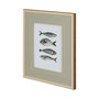12292 - Four Fish II by Emma Scarvey a Hand Embellished Textured Framed Art Print Matted under Glass