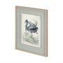 12471 - Tricolored Heron by Mercana Studio a Hand Embellished Textured Framed Art Print Matted under Glass