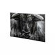 101186-S - Ringo by Mercana Studio a Hand Embellished Textured Canvas
