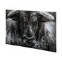 101186-L - Ringo by Mercana Studio a Hand Embellished Textured Canvas