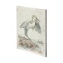 101182-L - Cattle Egret by Mercana Studio a Hand Embellished Textured Canvas