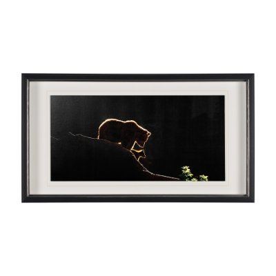 12519 - Protection by Xavier Ortega a Framed Photo Art Print Matted under Glass