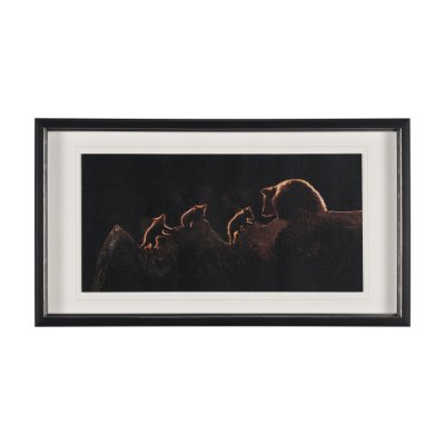 12520 - Triplets by Xavier Ortega a Framed Photo Art Print Matted under Glass