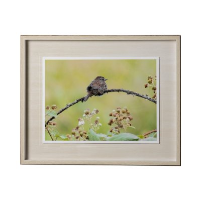 12634 - untitled by Nancy Crowell a Framed Photo Art Print Matted under Glass