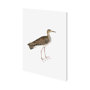 101248-S - Bhegondee Snipe by Maria Mendez a Hand Embellished Textured Canvas