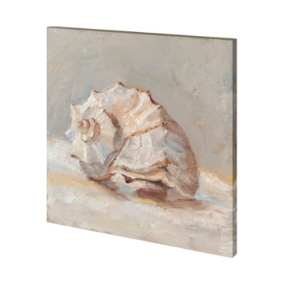 101361-S - Impressionist Shell Study II by Mercana Studio a Hand Embellished Textured Canvas