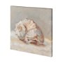 101361-S - Impressionist Shell Study II by Mercana Studio a Hand Embellished Textured Canvas