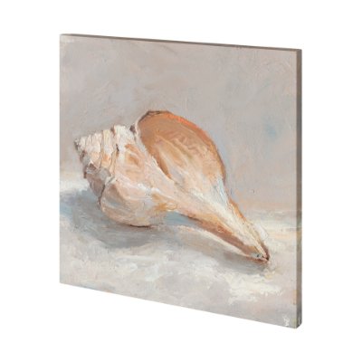 101362-L - Impressionist Shell Study III by Mercana Studio a Hand Embellished Textured Canvas