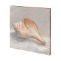 101362-S - Impressionist Shell Study III by Mercana Studio a Hand Embellished Textured Canvas