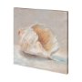 101363-L - Impressionist Shell Study IV by Mercana Studio a Hand Embellished Textured Canvas