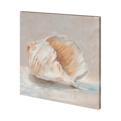 101363-S - Impressionist Shell Study IV by Mercana Studio a Hand Embellished Textured Canvas
