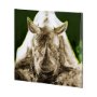 101462-L - Rhino Green by Mercana Studio a Hand Embellished Textured Canvas