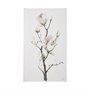 101621-L - Magnolia II by Gabrielle Campbell a Hand Embellished Textured Canvas