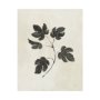 101594-L - Botanical Study III by Julia Purinton a Hand Embellished Textured Canvas