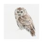 101584-L - Forest Friends IX (Owl) by Lisa Audit a Hand Embellished Textured Canvas