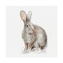 101583-L - Forest Friends VIII (Hare) by Lisa Audit a Hand Embellished Textured Canvas