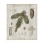 101581-L - Woodland Chart V by Sue Schlabach a Hand Embellished Textured Canvas