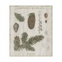 101580-L - Woodland Chart IV by Sue Schlabach a Hand Embellished Textured Canvas