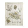 101579-L - Woodland Chart III by Sue Schlabach a Hand Embellished Textured Canvas