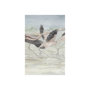 101490-S - Flamingo II by Mercana Studio a Hand Embellished Textured Canvas