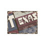 101636-S - Texas by Alarm a Hand Embellished Textured Canvas