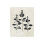 101619-S - Botanical Study IV by Julia Purinton a Hand Embellished Textured Canvas