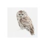 101584-S - Forest Friends IX (Owl) by Lisa Audit a Hand Embellished Textured Canvas
