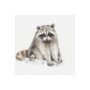 101585-S - Forest Friends X (Racoon) by Lisa Audit a Hand Embellished Textured Canvas