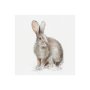 101583-S - Forest Friends VIII (Hare) by Lisa Audit a Hand Embellished Textured Canvas