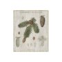 101581-S - Woodland Chart V by Sue Schlabach a Hand Embellished Textured Canvas
