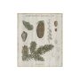 101580-S - Woodland Chart IV by Sue Schlabach a Hand Embellished Textured Canvas