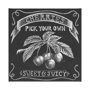 101656-L - Farm Fresh Cherries by Mercana Studio a Hand Embellished Textured Canvas