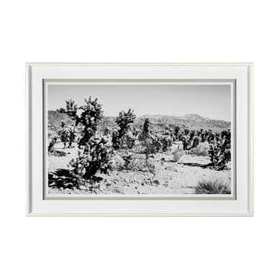 13337 - Road Trip III by Elizabeth Urquhart a Framed Photo Art Print Matted under Glass