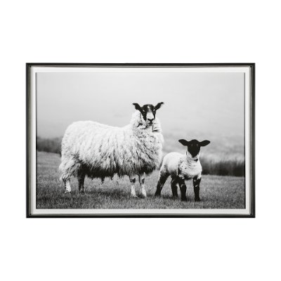 13348 - Islay Sheep I by Laura Marshall a Framed Photo Art Print Matted under Glass