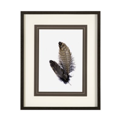 13352 - Feathered Friends by Nancy Crowell a Framed Art Print Matted under Glass