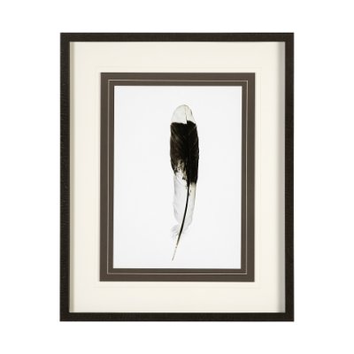 13353 - Flying solo by Nancy Crowell a Framed Art Print Matted under Glass