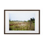 13421 - Barbed Wire by Katelyn Mostert a Framed Photo Art Print Matted under Glass