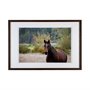 13422 - Charlie by Katelyn Mostert a Framed Photo Art Print Matted under Glass