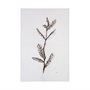 101830-L - Olive Branch I by Gabrielle Campbell a Hand Embellished Textured Canvas