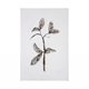 101831-L - Olive Branch II by Gabrielle Campbell a Hand Embellished Textured Canvas