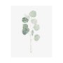 101761-L - Soft Eucalyptus Branch I by Emma Scarvey a Hand Embellished Textured Canvas