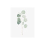 101761-S - Soft Eucalyptus Branch I by Emma Scarvey a Hand Embellished Textured Canvas